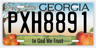 GA license plate PXH8891