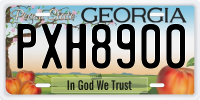 GA license plate PXH8900