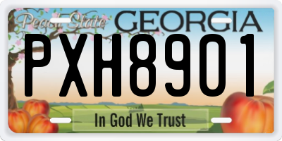 GA license plate PXH8901