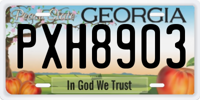 GA license plate PXH8903