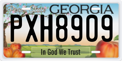 GA license plate PXH8909