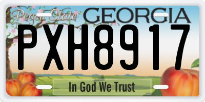 GA license plate PXH8917