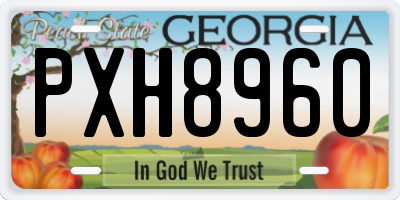 GA license plate PXH8960