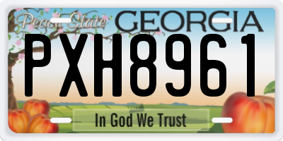 GA license plate PXH8961