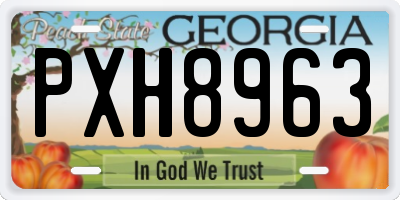 GA license plate PXH8963