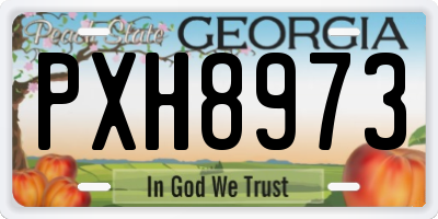 GA license plate PXH8973