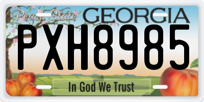 GA license plate PXH8985