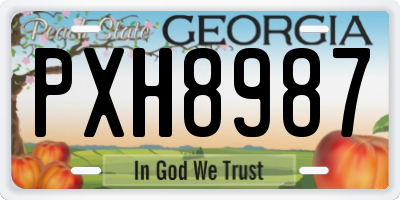 GA license plate PXH8987