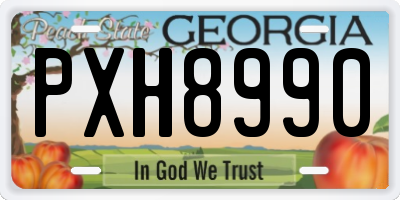 GA license plate PXH8990