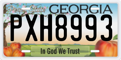 GA license plate PXH8993