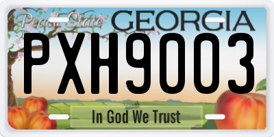 GA license plate PXH9003