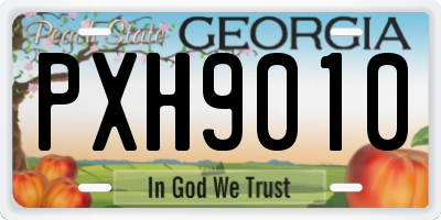 GA license plate PXH9010