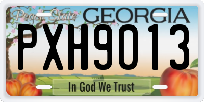 GA license plate PXH9013