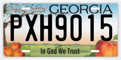 GA license plate PXH9015