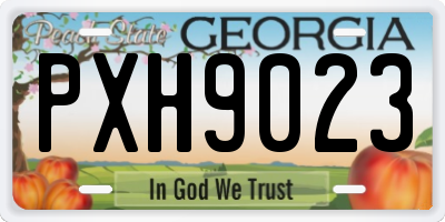 GA license plate PXH9023