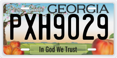GA license plate PXH9029