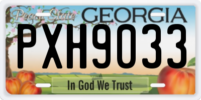 GA license plate PXH9033