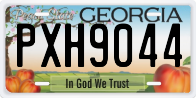GA license plate PXH9044