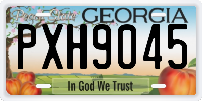 GA license plate PXH9045