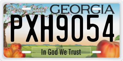 GA license plate PXH9054