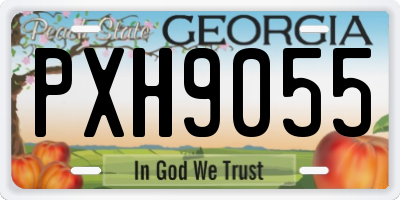 GA license plate PXH9055