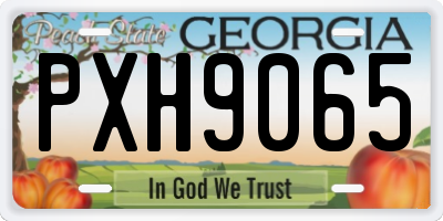 GA license plate PXH9065