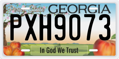 GA license plate PXH9073
