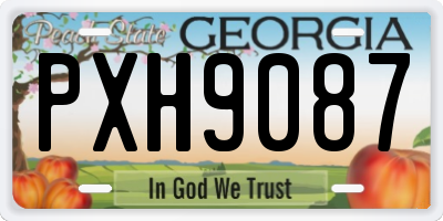 GA license plate PXH9087