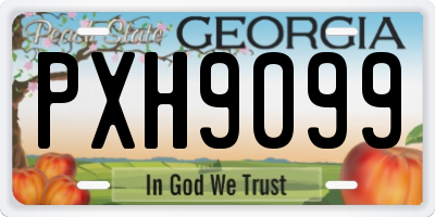 GA license plate PXH9099