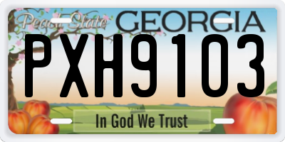 GA license plate PXH9103