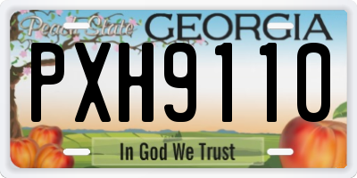 GA license plate PXH9110