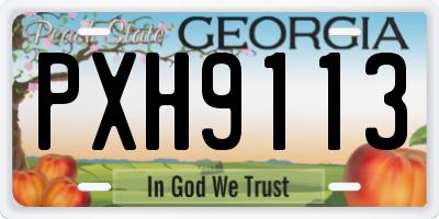 GA license plate PXH9113