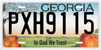 GA license plate PXH9115