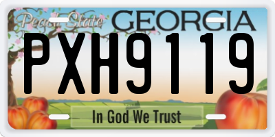 GA license plate PXH9119