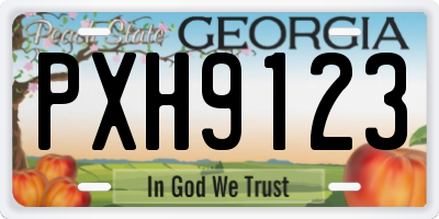 GA license plate PXH9123