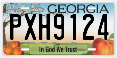 GA license plate PXH9124