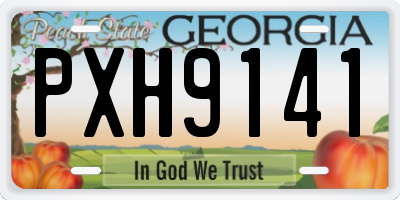 GA license plate PXH9141