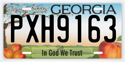 GA license plate PXH9163