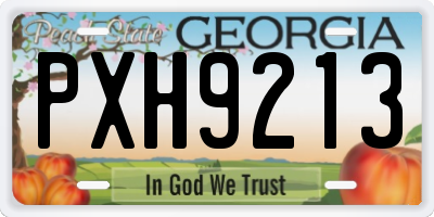 GA license plate PXH9213