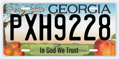 GA license plate PXH9228