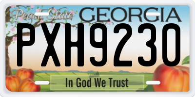 GA license plate PXH9230