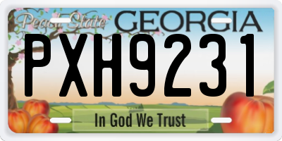 GA license plate PXH9231