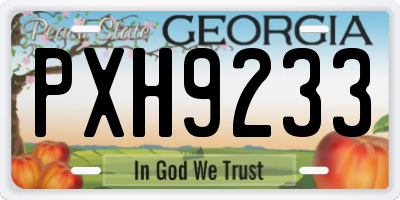 GA license plate PXH9233