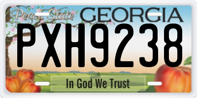GA license plate PXH9238