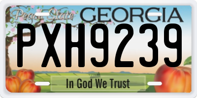 GA license plate PXH9239