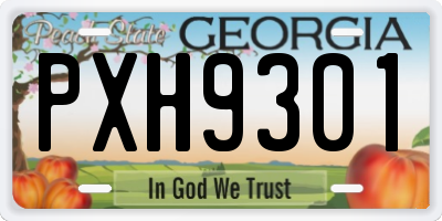 GA license plate PXH9301