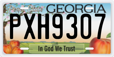 GA license plate PXH9307