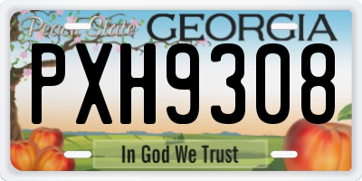 GA license plate PXH9308