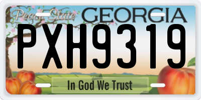 GA license plate PXH9319