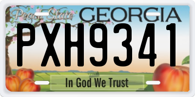 GA license plate PXH9341